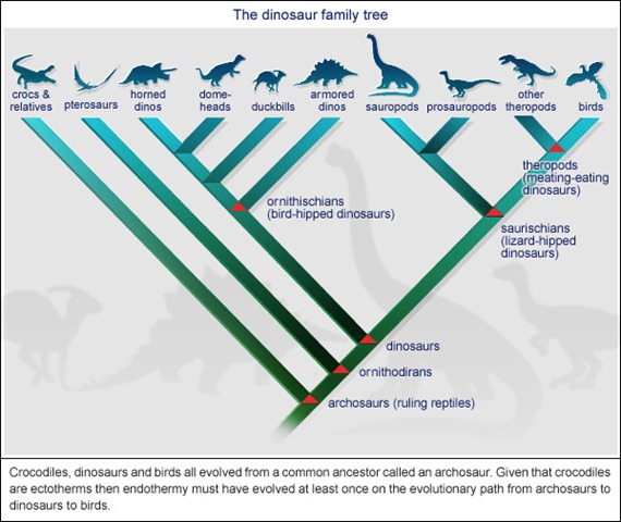 [dinosaur-evolution[5].jpg]