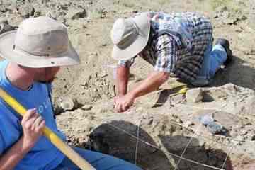 Christopher Smith (foreground) looks on as Joseph Camburn (background) brushes sediment off part of the Elk Ridge hadrosaur. Photo by Brian Switek.