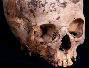 [dn19814-1_300[5].jpg]