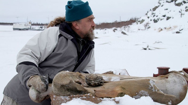 [800_ap_mammoth_101127[5].jpg]