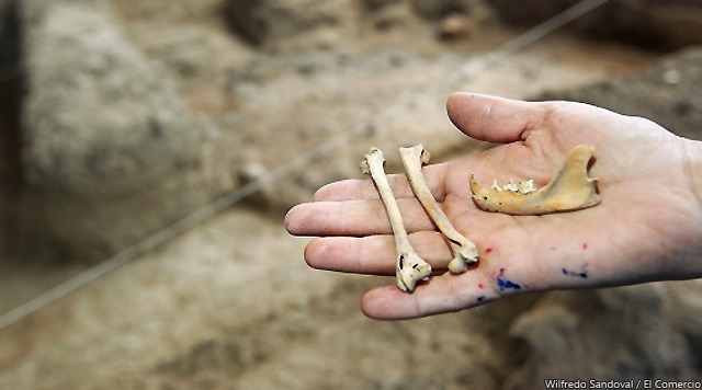 [5204762086_c43234d396_o[5].jpg]