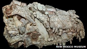 [_50215304_figure3-1[5].jpg]