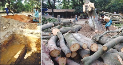 [2010-12-03__nt02[6].jpg]