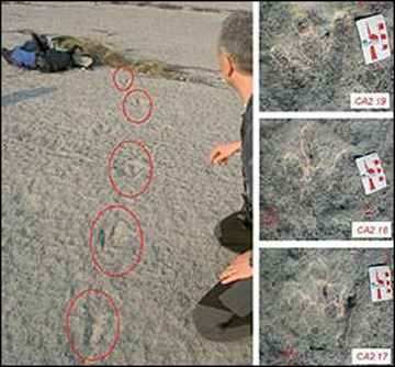 A dinosaur track in the Coste Dell' Anglone site (approximately 30 footprints) and closer views of three numbered tracks.