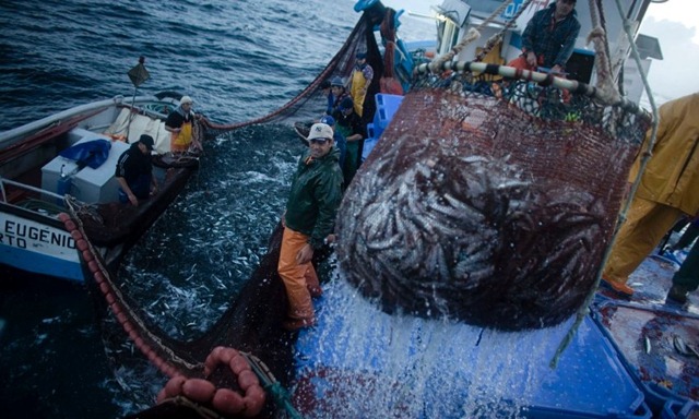 [image-128340-galleryV9-phxs[5].jpg]