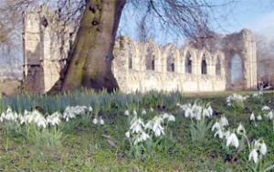 [museum_gardens.jpg.display[5].jpg]