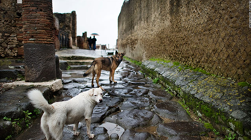 Many of the site's buildings are at risk because the ancient mortar is so delicate even rain water can cause damage.