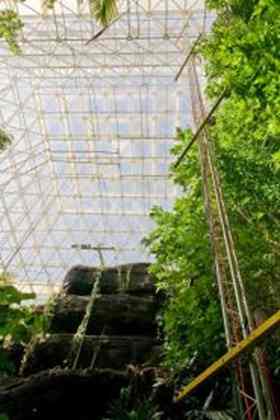 This profile tower takes measurements at defined heights in Biosphere 2's rainforest. Photo: J. van Haren.
