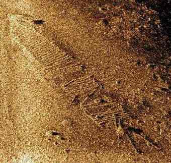 A side scan sonar image shows wreckage of what is believed to be an original Erie Canal boat found at the bottom of the Oswego River by Jim Kennard and Roger Pawlowski in October. (Photo provided by Jim Kennard and Roger Pawlowski)
