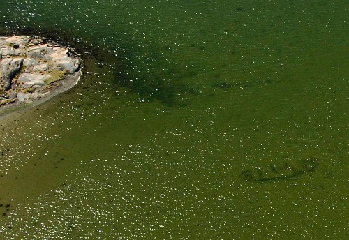 [Skeppstad_red5005.jpg]