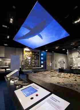 Natural museum teaches Virginia's pre-history