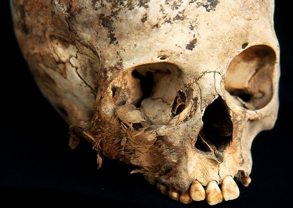 [peruchildsacrificeskull_30678_600x45[1].jpg]