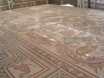 2467819638_a4f0fc2935_o