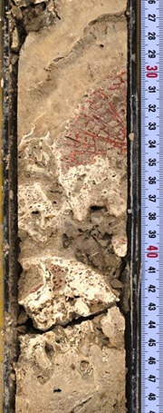Just a small glimpse of the hundreds upon hundreds of feet of coral cores the Integrated Ocean Drilling Program (IODP)/European Consortium for Ocean Research Drilling (ECORD) expedition drilled out of the seafloor. Credit: ECORD/IODP.