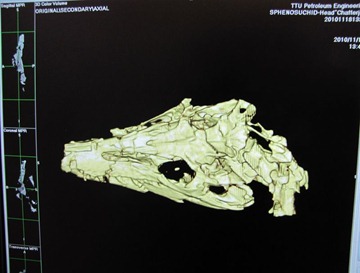 6a00d8341bf67c53ef0147e18a6a19970b-800wi