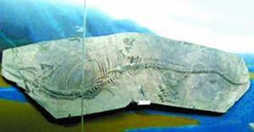 001372a9ae050e98dcbb01