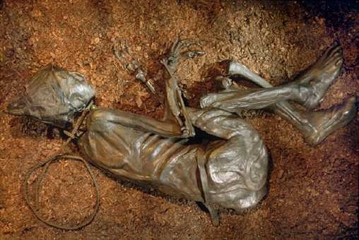 [tollund-man4.jpg]