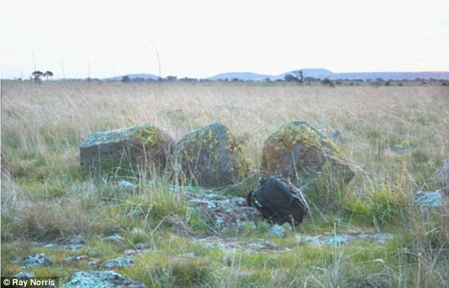 [article-1353719-0D0B9A57000005DC-324.jpg]