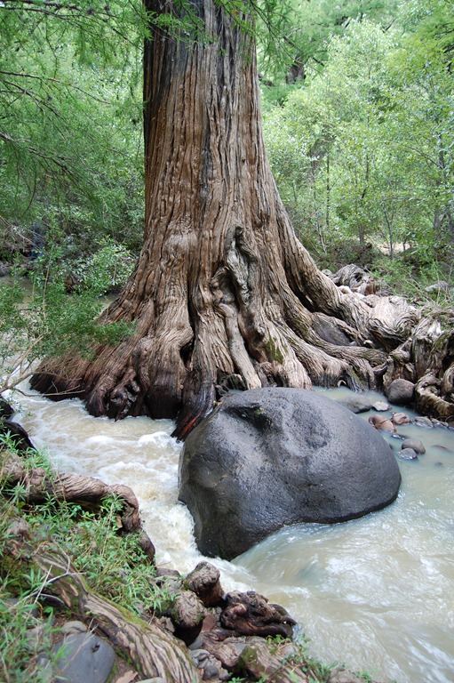 [pr_2011-06_hi-res4.jpg]