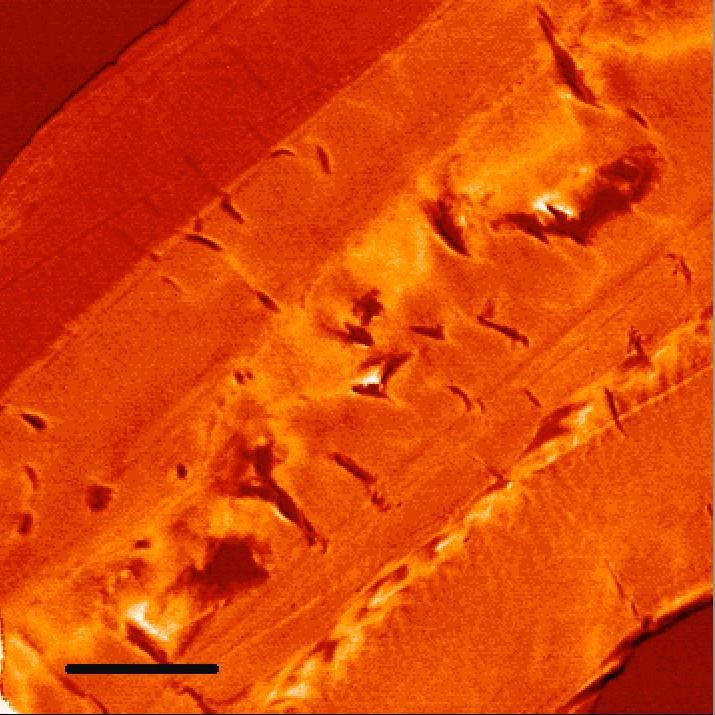 [110207115046-large[4].jpg]