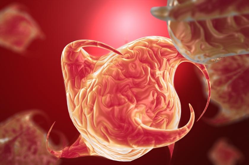 [r715173_56319954.jpg]