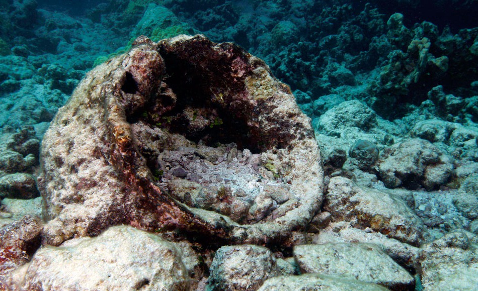 [Researchers-26.jpg]