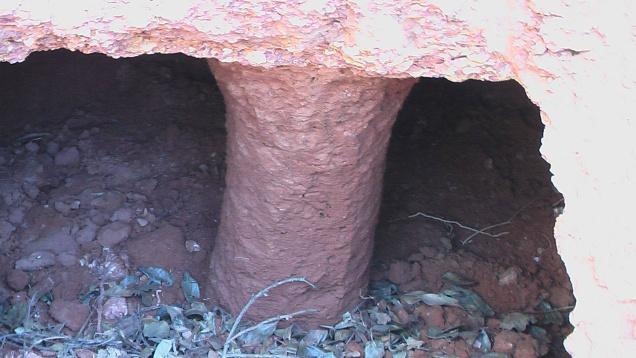 [LAT_MEGALITHIC_1_478538f4.jpg]