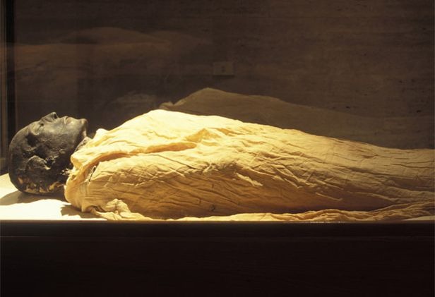 [pg-12-seti-getty_557102s5.jpg]