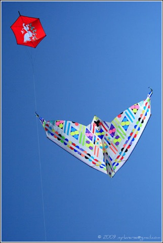 [kites01[10].jpg]