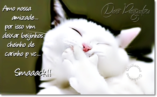 gato-engra%C3%A7ado.jpg