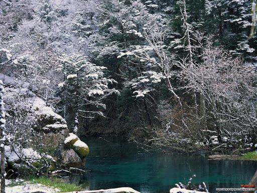 Download Free 3d Nature Wallpapers