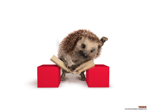 Celebrity Wallpapers Computers