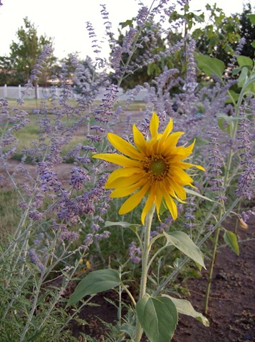 [Summer2009 477[7].jpg]