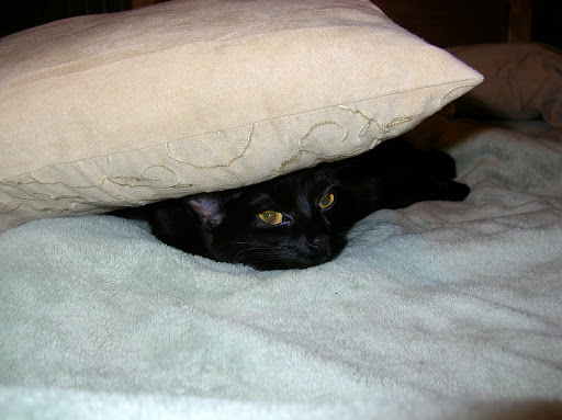 u no c me. i iz hid. Hope. November.
