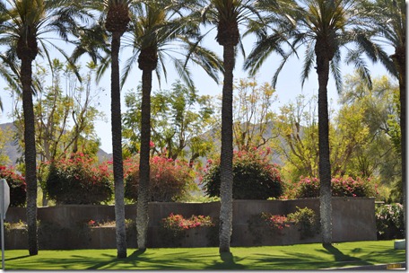 Living Desert, Ca 130