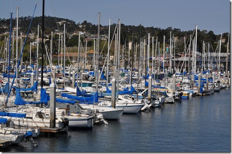 Monterey, Ca 029