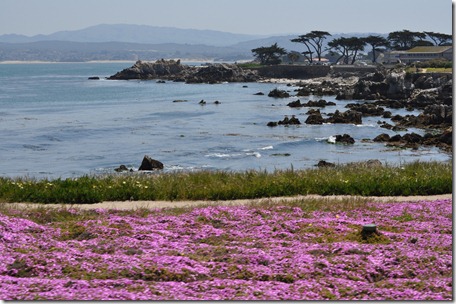 Monterey, Ca 050