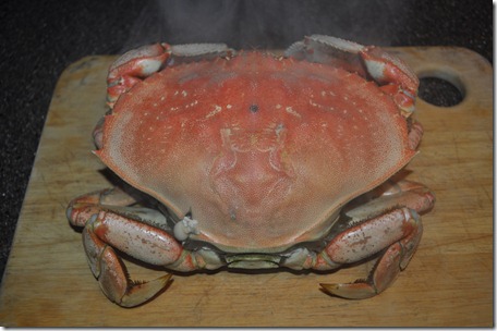 Crab 002