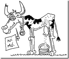 vaca flaca - 2