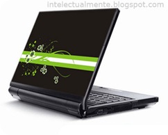 laptop_skin