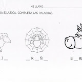animales11.JPG