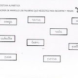 animales15.JPG