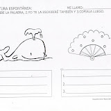ballena.JPG