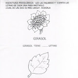 girasolhoja.JPG