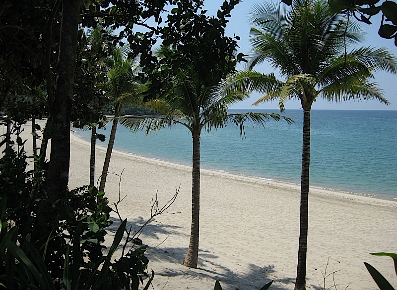 the beach at Anvaya Cove Beach and Nature Club