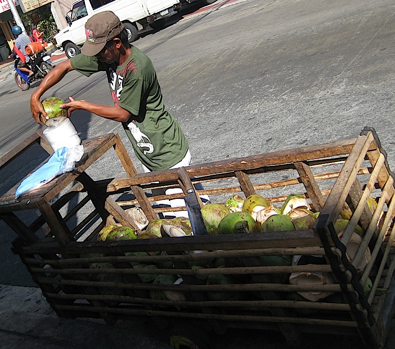 fresh coconut vendor