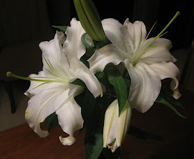 white lilies