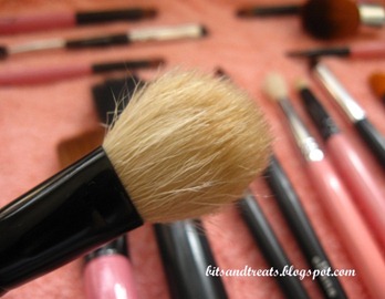 dried charm blush brush, by bitsandtreats