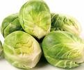 [sprouts[4].jpg]