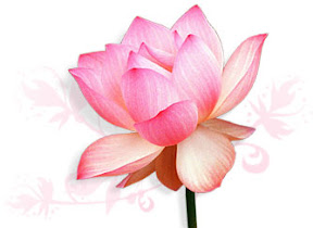 http://lh6.ggpht.com/_CK9F0ohAraA/S4HqqZPH8kI/AAAAAAAAAzY/BJ2gSaUTHkQ/s288/lotus.jpg